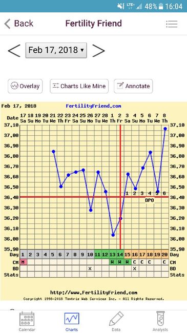 Grafico temperatura basale 2
