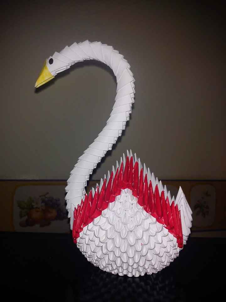 cigno