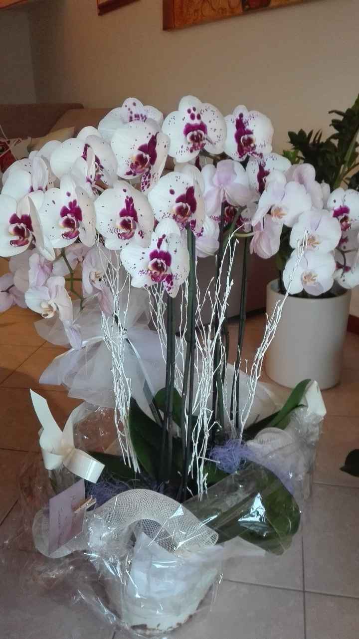 orchidee a sorpresa...