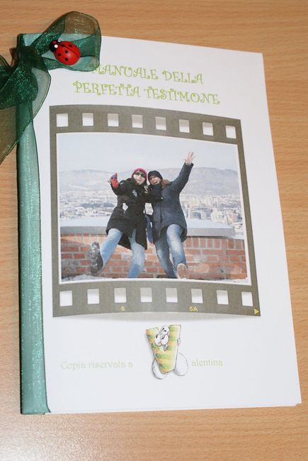 Il mio manuale del perfetto testimone2