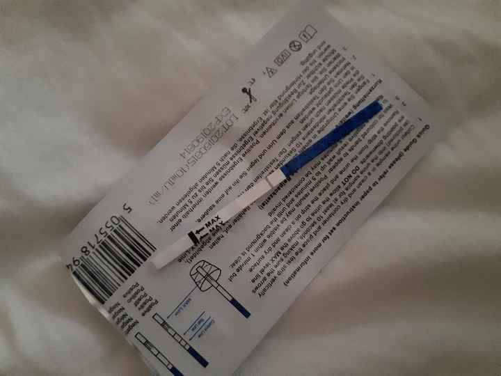 Test gravidanza canadese 4