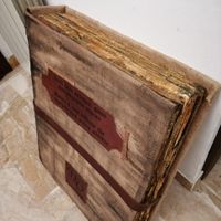 ispirato da un libro di Leonardo da Vinci