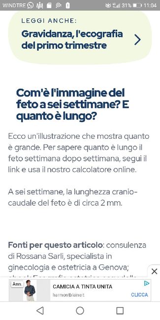 Lunghezza embrione - 1