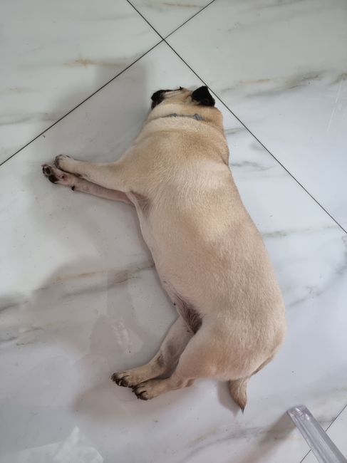 L'amore mio più grande - 1