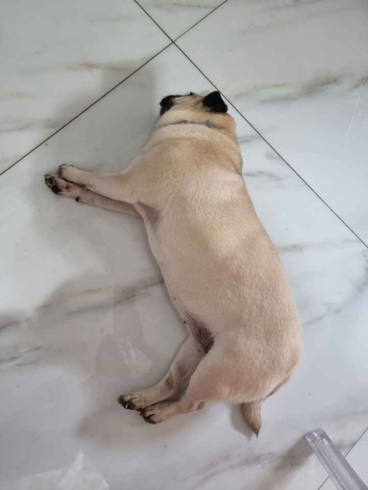 L'amore mio più grande - 1