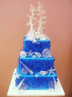 Torta
