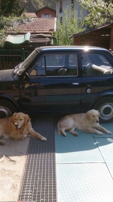 L'auto delle nostre nozze - 2