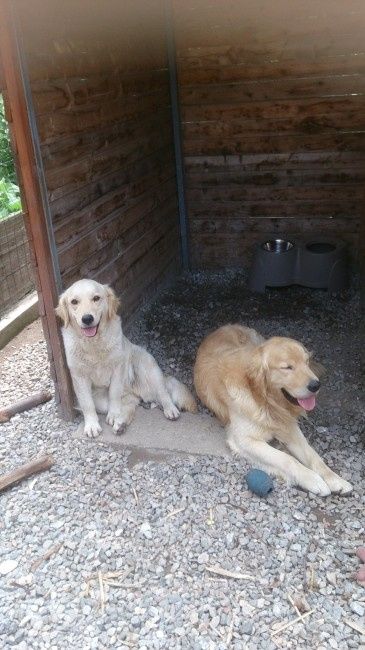 Oggi vi presento i nostri "mimmi" :) - 1