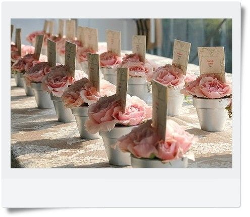 Matrimonio tema rose - 2