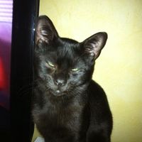 Cico Amore di tutti noi