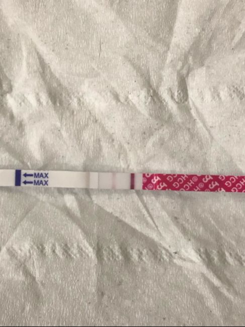 Test gravidanza canadese - 3