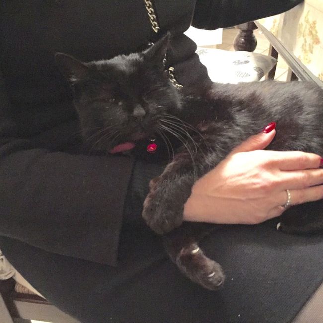 Ecco il nostro "bimbo" - 1