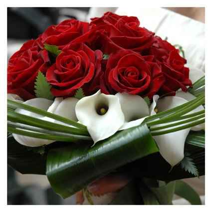 Rose rosse e calle