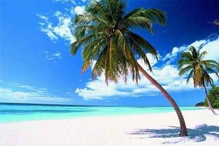 Isola Saona (Santo Domingo)