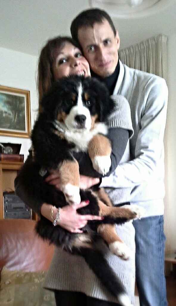 Mi fate vedere come siete? - 1