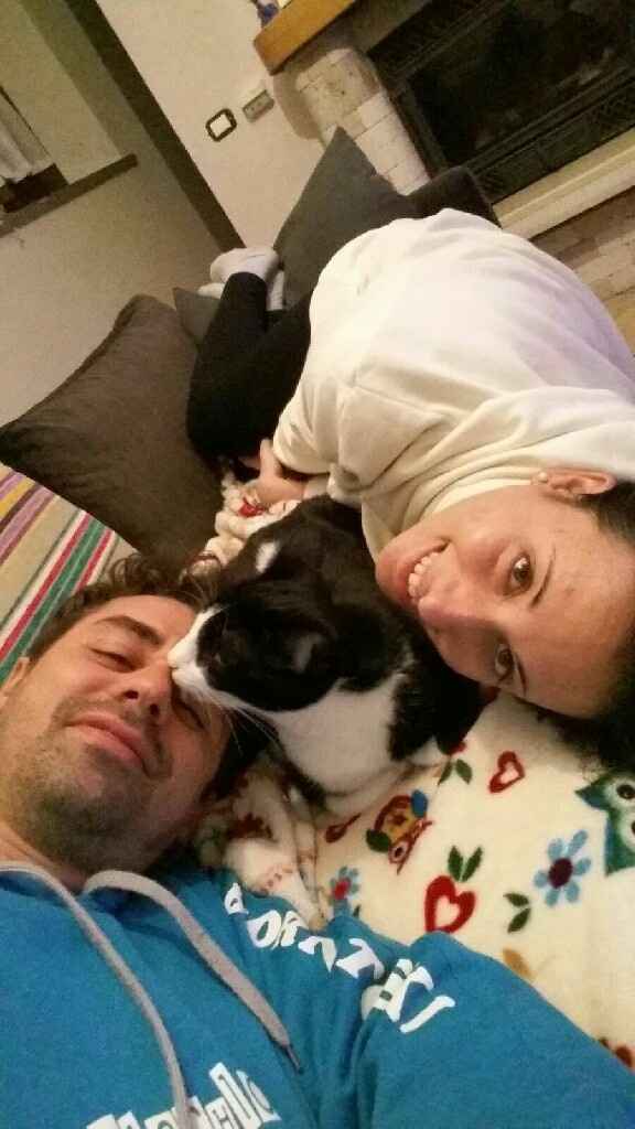 Animaletti in casa - 1