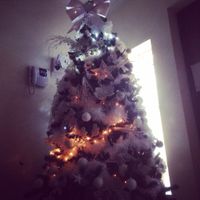 Alberi di Natale - 1