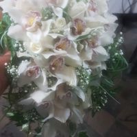 Colore del matrimonio - 2