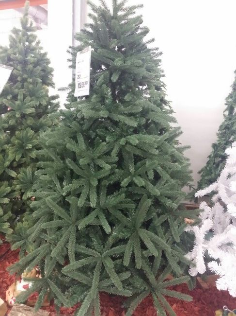  Albero di Natale!!! - 3