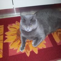 Nuova "coinquilina" :) - 1