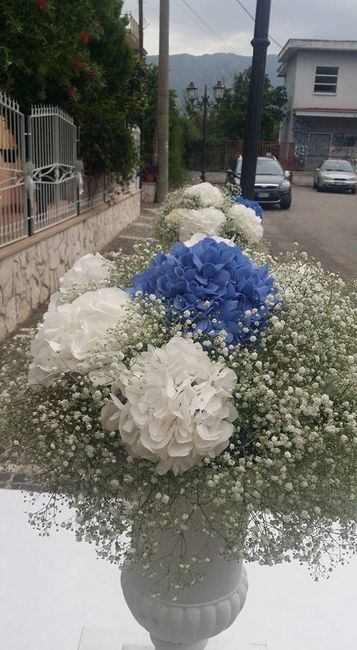 Chi ha usato le ortensie? - 2