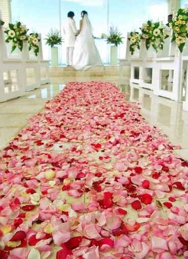 ci era piaciuto molto questo xo sono smp mlt idecisa xke non ho parlato ancora col fiorista ecc