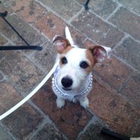 24 giugno...qualche scatto non ufficiale! - 5