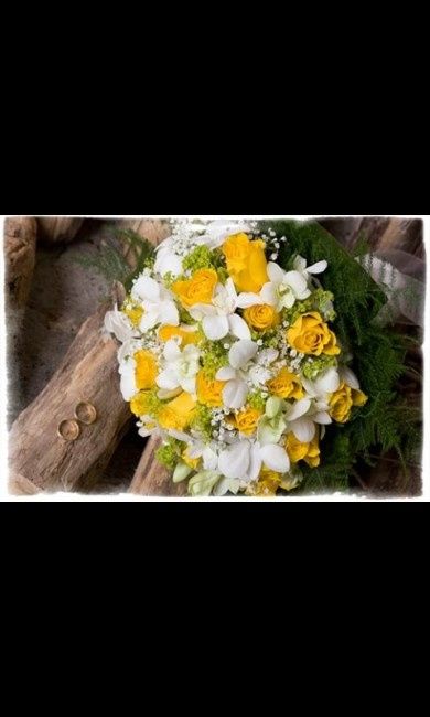 Club della sposa gialla - 1