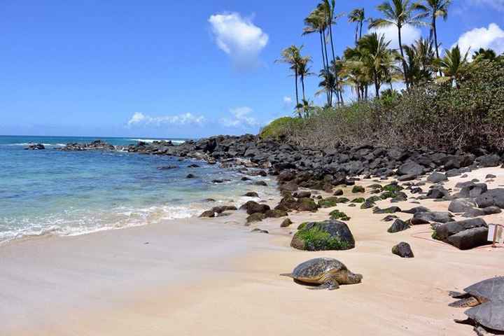 Le hawaii - racconto di un viaggio - 2