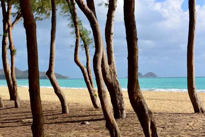 Le hawaii - racconto di un viaggio - 3