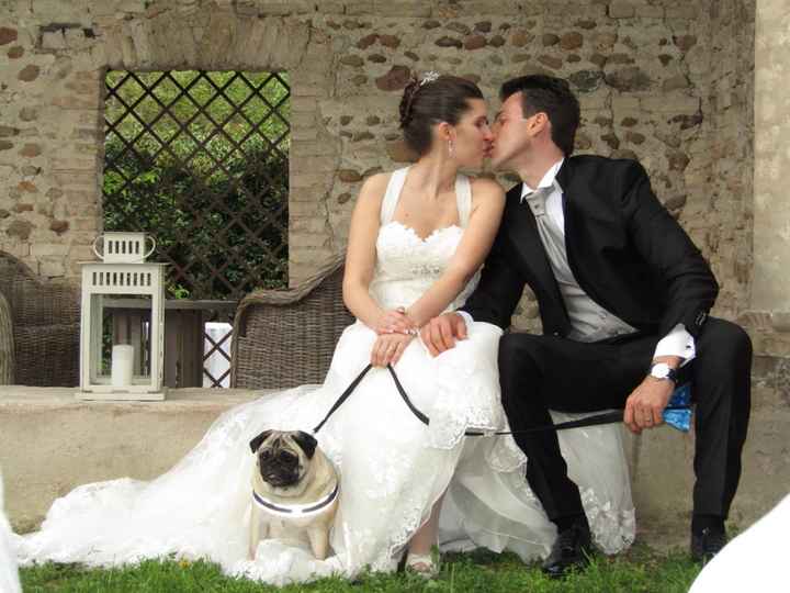 Pelosi alla riscossa! :) chi portera' il suo amico peloso al matrimonio? - 1