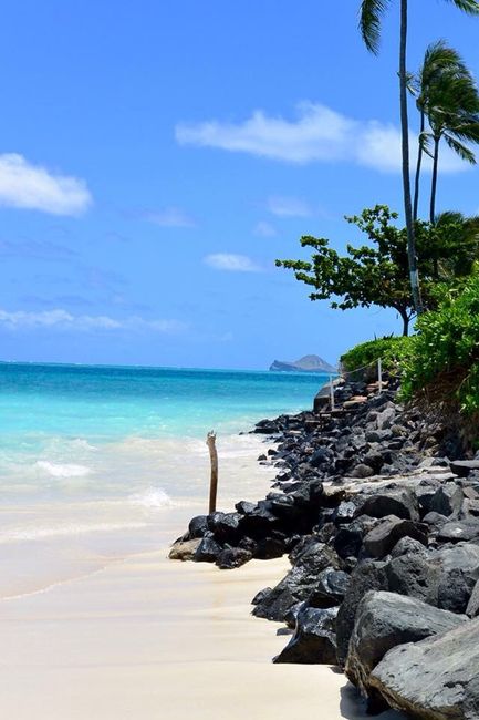 Le hawaii - racconto di un viaggio - 10