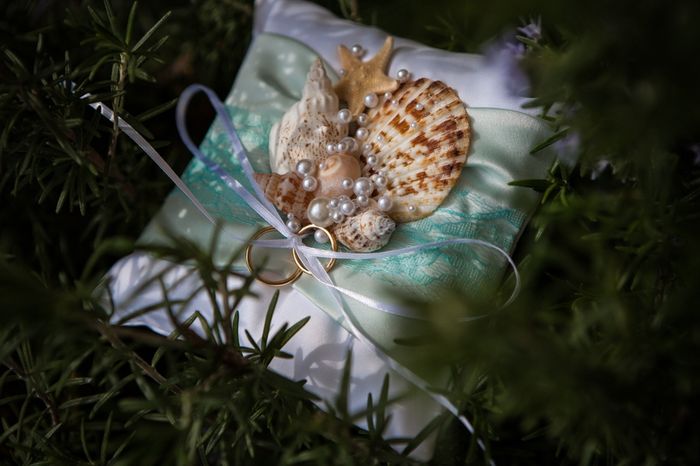 Bianco&tiffany: il nostro matrimonio - 8