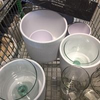 spesa di vasi e cilindri di vetro