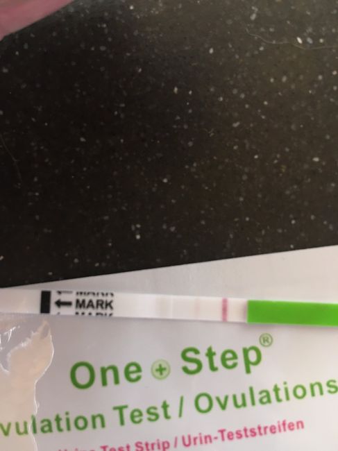 Chi non le aspetta per Marzo 2020 - 1