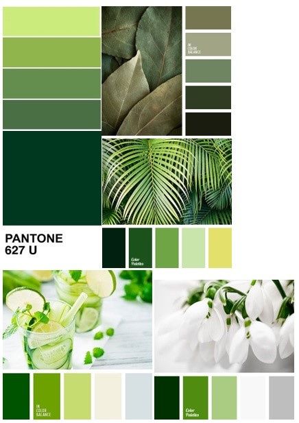 pantone verde