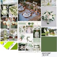pantone verde