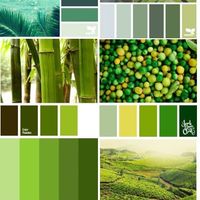 pantone verde
