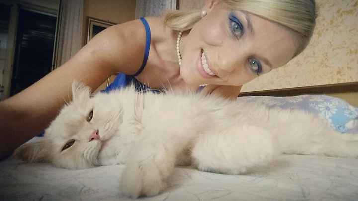 Verso il sud...wedding time - 1