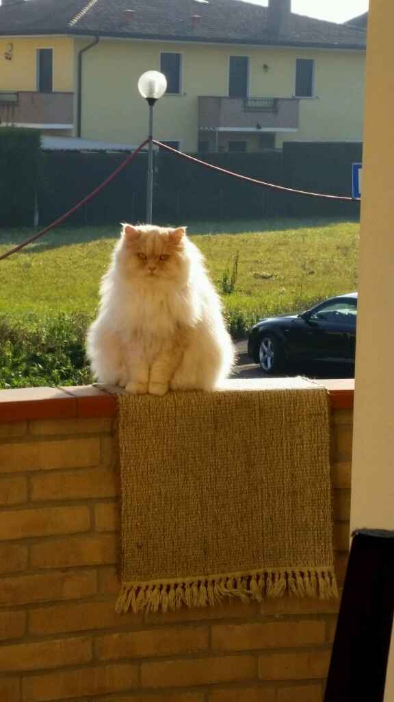 La nostra bambina! !!!!!! - 1