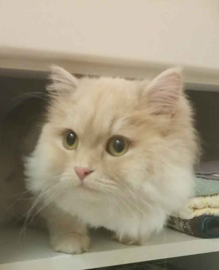 Il nostro piccolino - 1