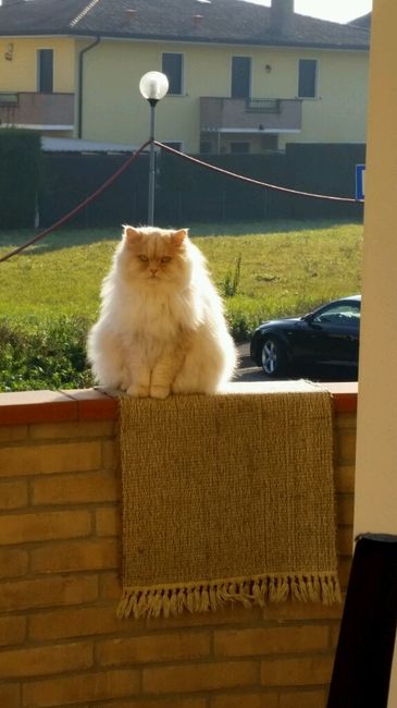 La nostra bambina! !!!!!! - 1