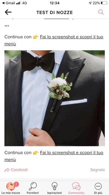 Fai lo screenshot e scopri il vestito dello sposo - 1