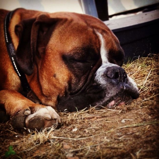 Bozza partecipazioni - 1