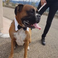  Il ns giorno più bello - 7