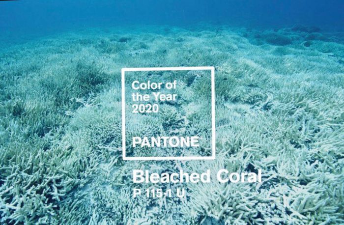 Colori Pantone 2020 2
