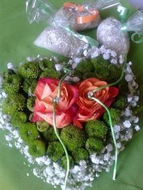 IL MIO CUSINO PORTA FEDI