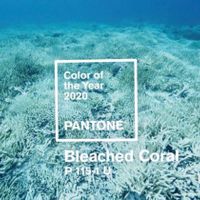 Colori Pantone 2020 - 1