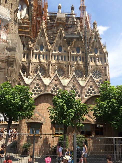 Bellissima esperienza - 5