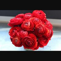 Prezzi boutonnier e bouquet - 1